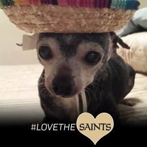 Meet your Posher, Peggy